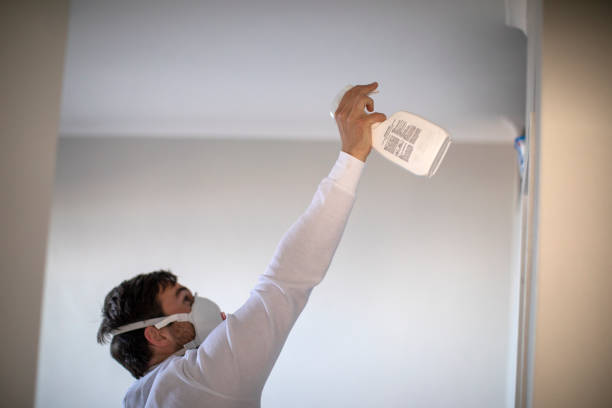 Best Attic Mold Removal  in Overton, TX