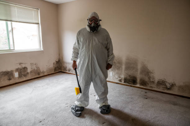 Best Emergency Mold Removal  in Overton, TX