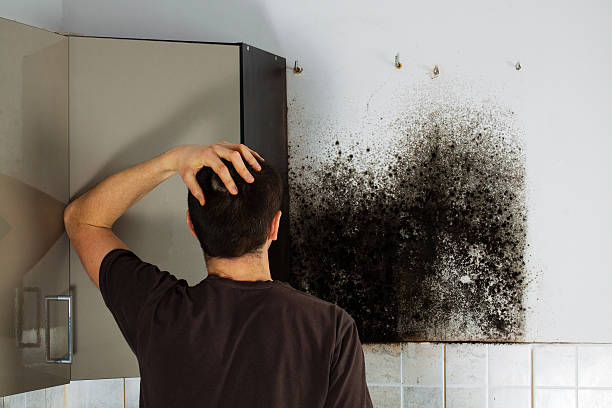 Best Affordable Mold Removal  in Overton, TX