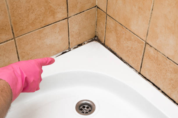 Best Mold Testing and Removal  in Overton, TX